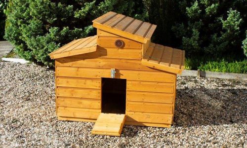 Hen-Coop-Image
